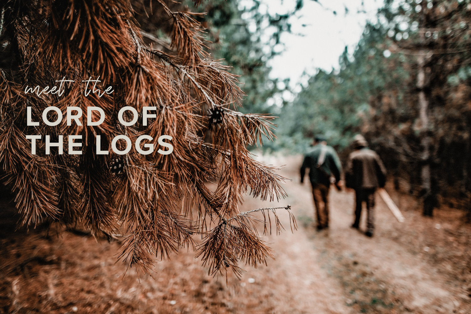 Don Sadler: Lord of the Logs